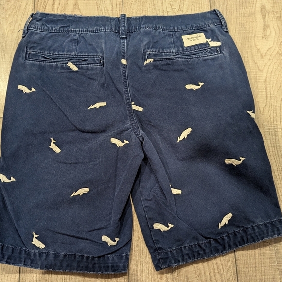 Abercrombie and Fitch Embroidered White Whale Shorts - Picture 3 of 8